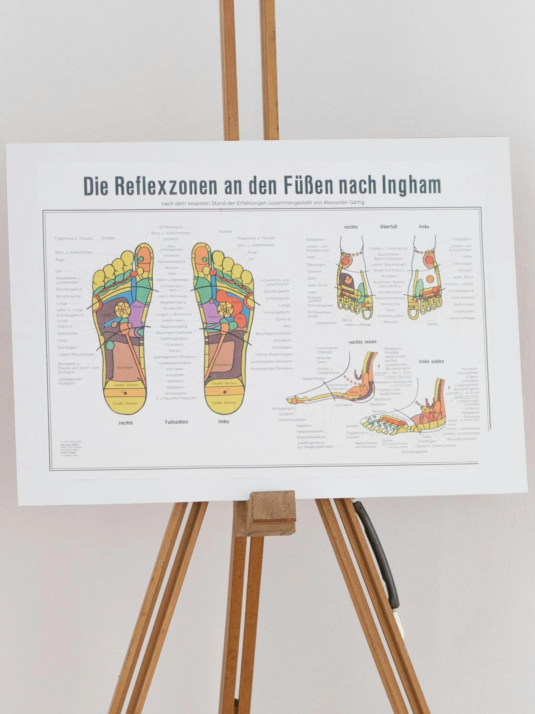 A reflexology foot chart on a wooden stand showing the reflexology zones